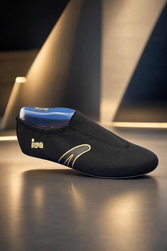 IWA 507
